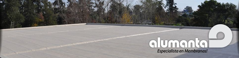 Css Template Preview