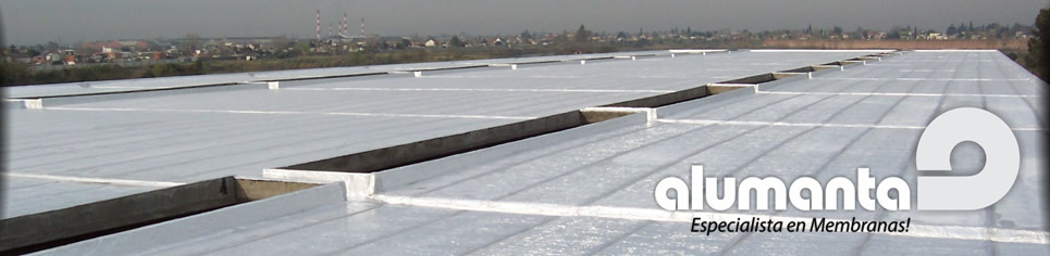 Css Template Preview