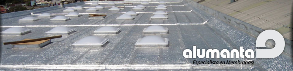 Css Template Preview